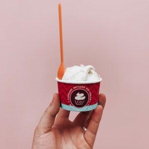 Mint Chocolate Chip Cone